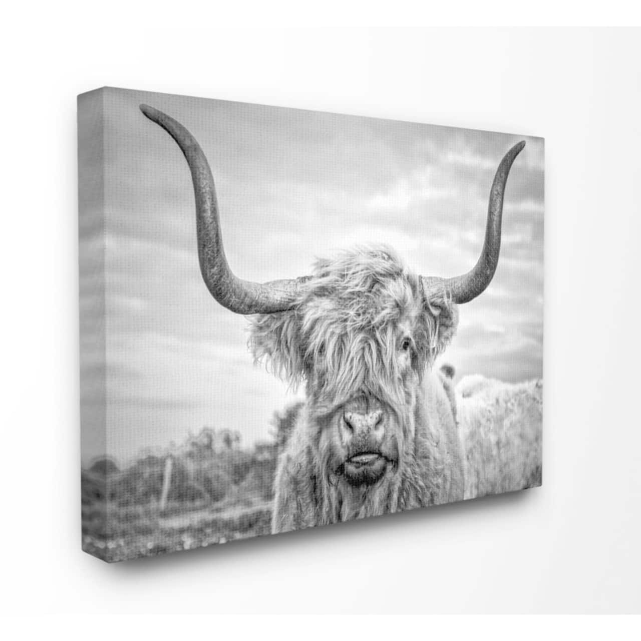 Stupell Industries Black & White Highland Cow Wall Art